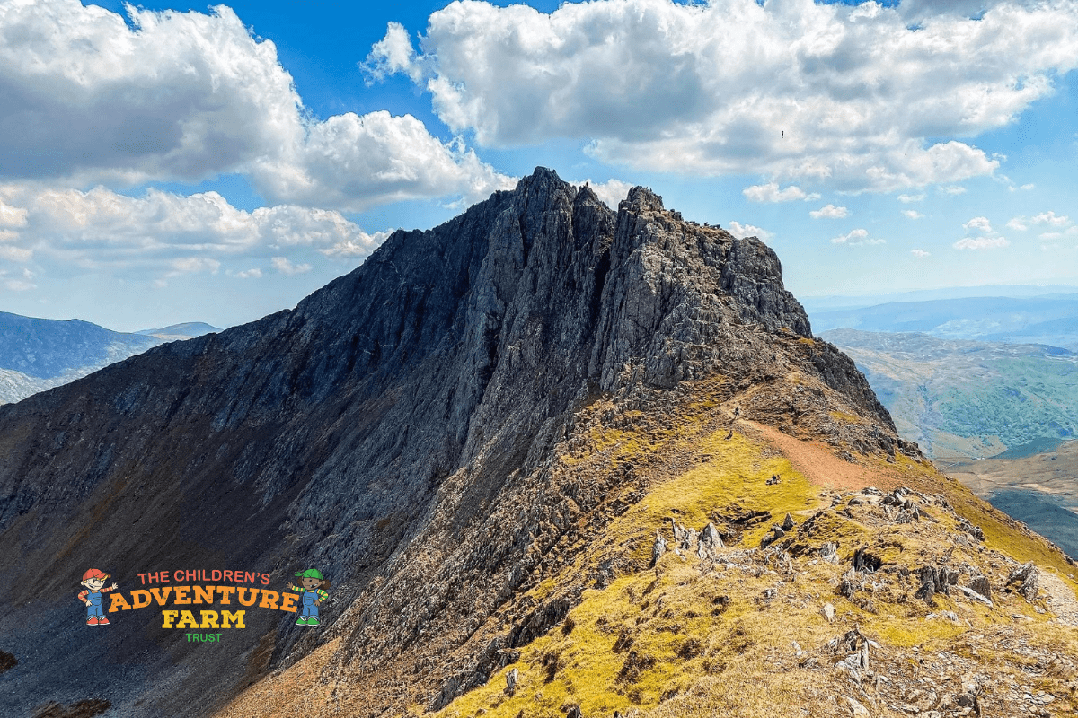 Read more about the article Climbing New Heights of Charity: REMM’s First Hike up Snowdon for The Children’s Adventure Farm